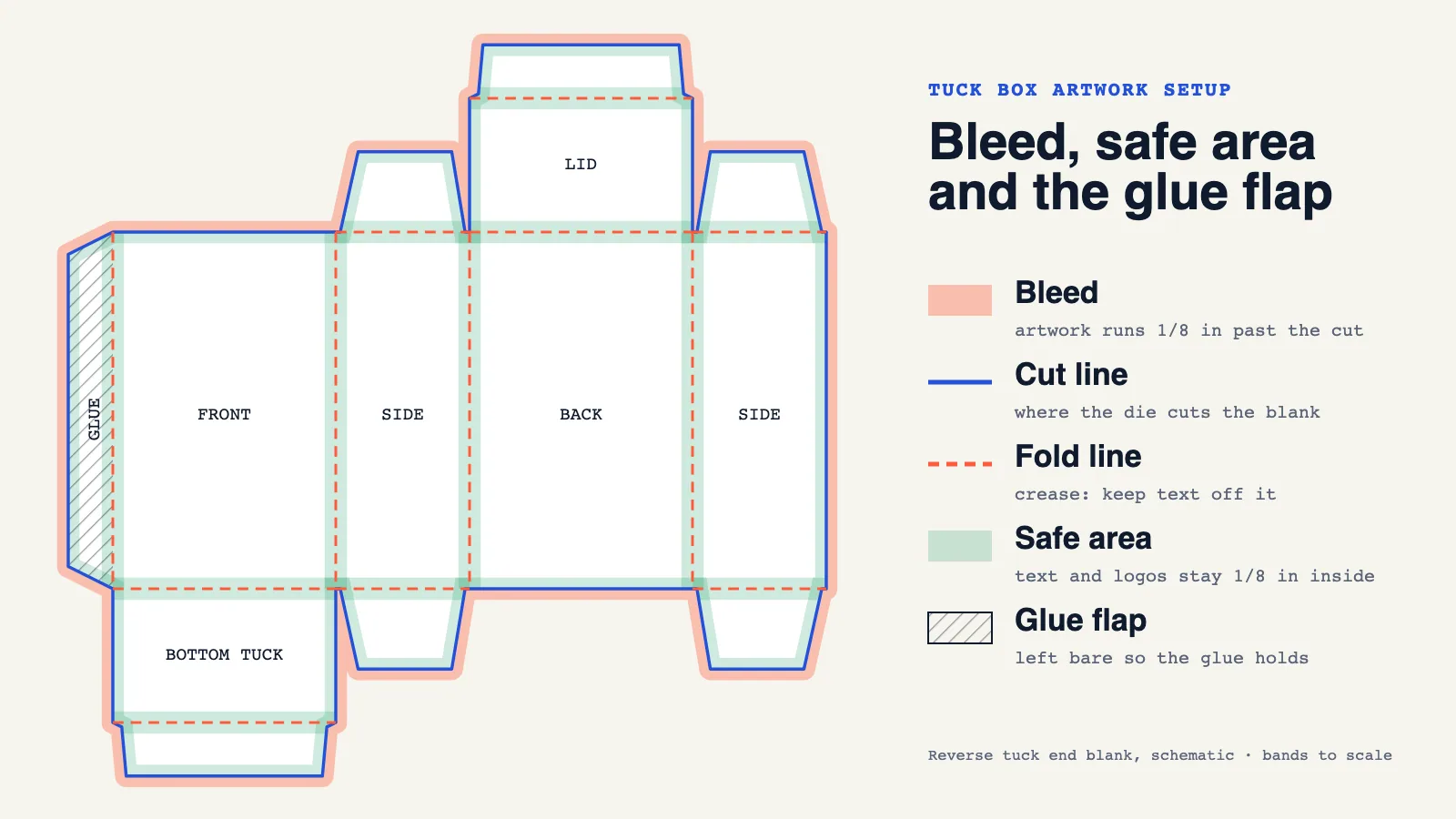 A reverse tuck end carton laid flat, with the bleed band outside the cut line, the safe area inside cuts and folds, and the hatched glue flap